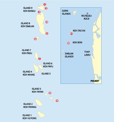 the Similan Islands,  Cruise, Similans, Cruise to Similan, Islands, Koh Bon, Koh Tachai, Richelieu Rock, Boon Sung Wreck, Diving